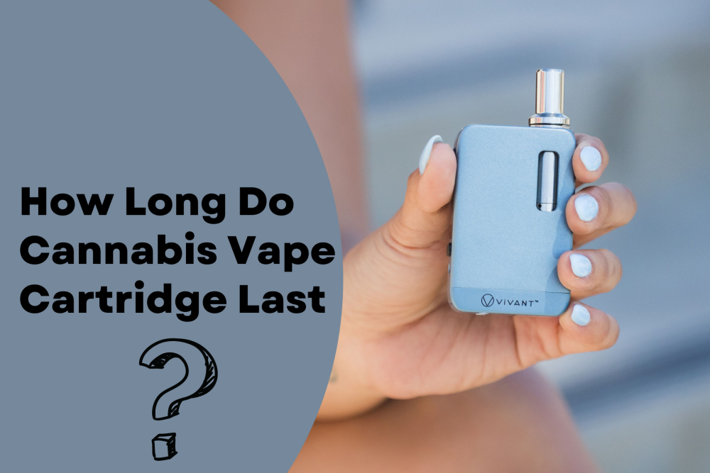 How long do cannabis vape cartridge last? VIVANT  ViVANT