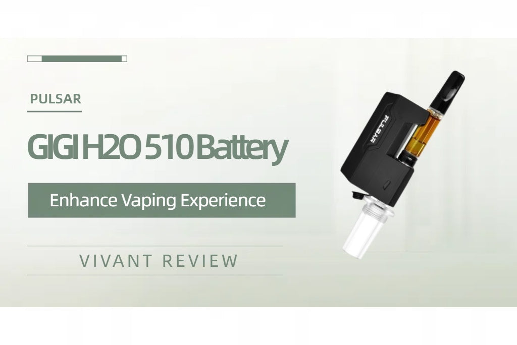 gigi vape Shop Banana Punch