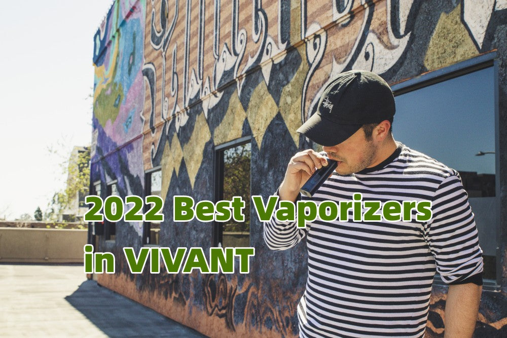 2022 Best Cannabis Vaporizers in VIVANT