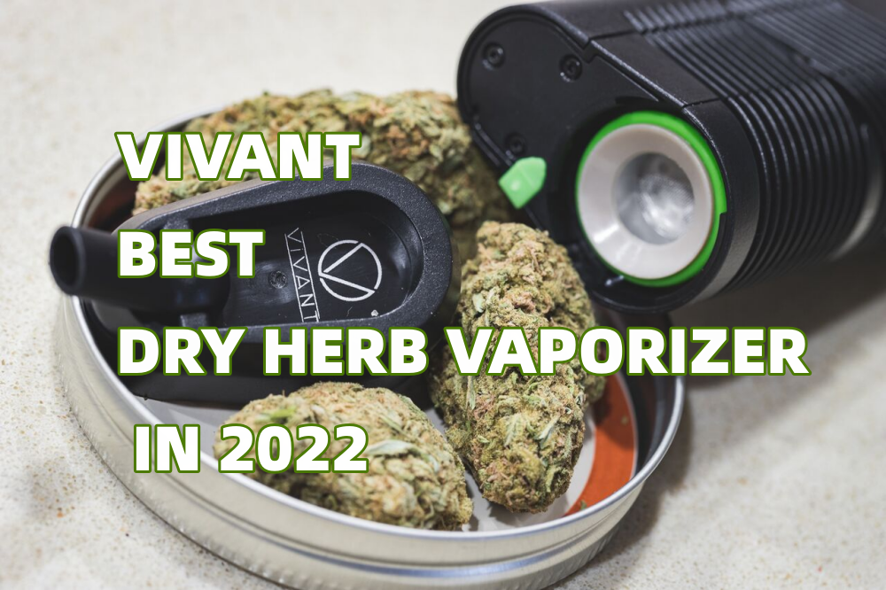 VIVANT BEST DRY HERB VAPORIZERS IN 2022 ViVANT VIVANT BEST DRY HERB VAPORIZERS IN 2022 ViVANT