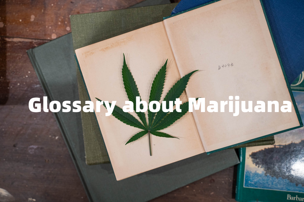 Glossary about Marijuana You Need to Know IN VIVANT VAPE SHOP