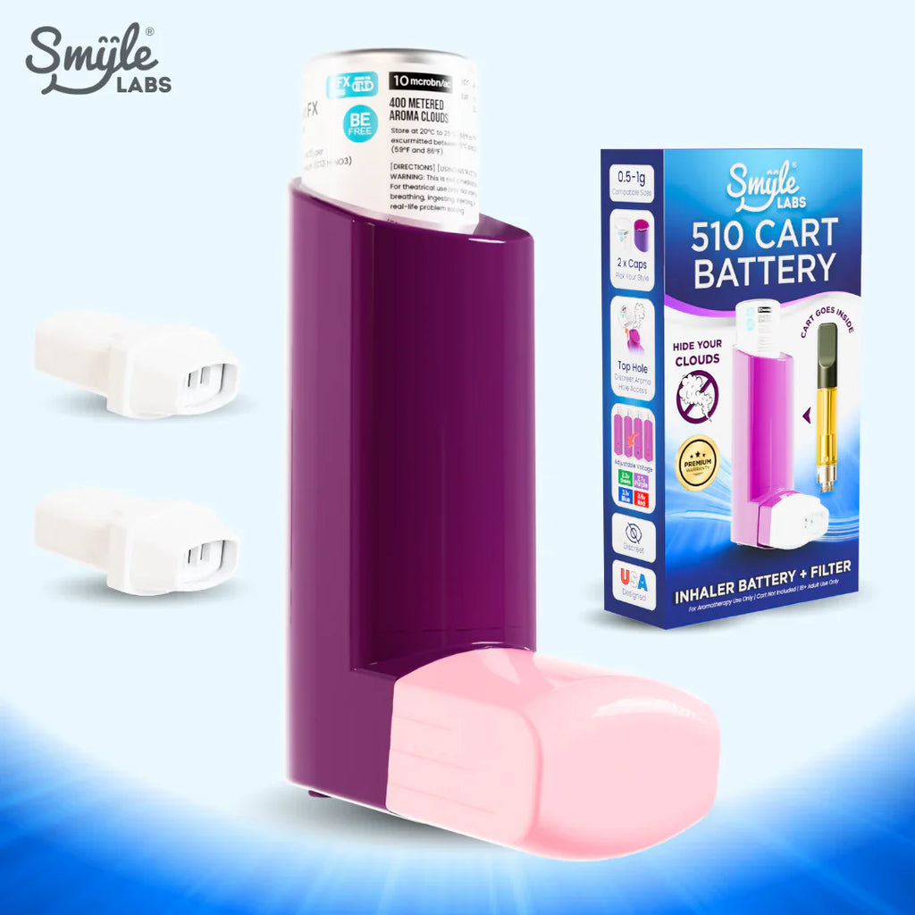 Smyle INHALER 510 Cart Battery w/ Filter-10% OFF at VIVANT – ViVANT